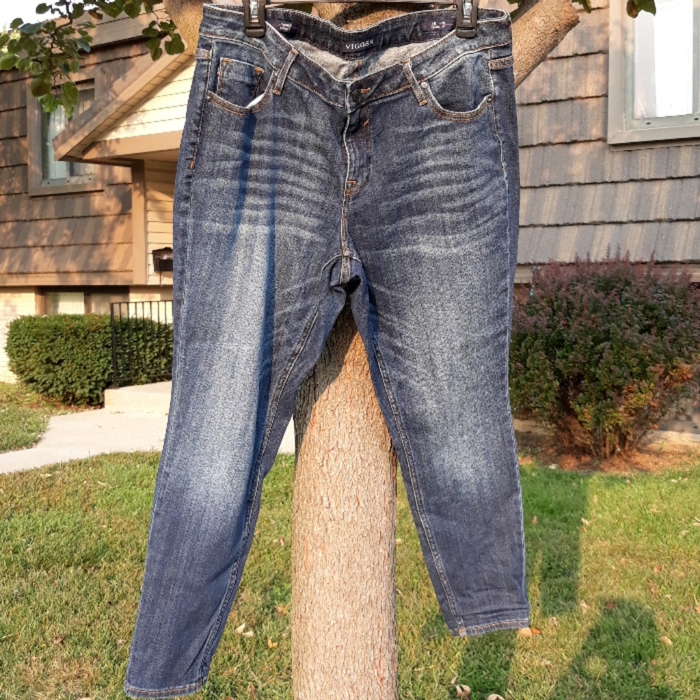 Vigoss Jagger Skinny Jeans